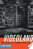 Videoland : movie culture at the American video store /