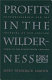 Profits in the wilderness : entrepreneurship and the founding of New England towns in the seventeenth century /